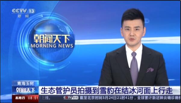 【朝闻天下】生态管护员拍摄到雪豹在结冰河面上行走 【朝闻天下】生态管护员拍摄到雪豹在结冰河面上行走